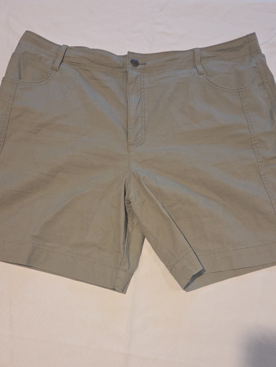 Lee Pants - Lee Men's Flat Front Shorts in Light Khaki